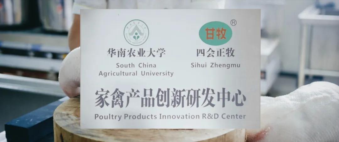 鹅肉.jpg