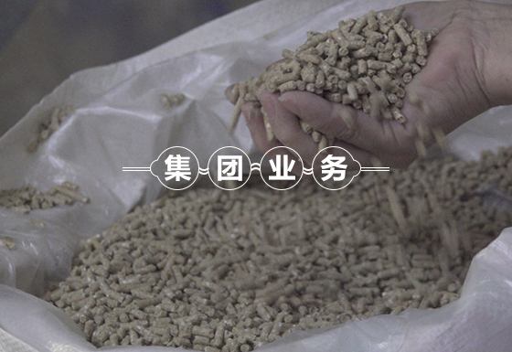 饲料